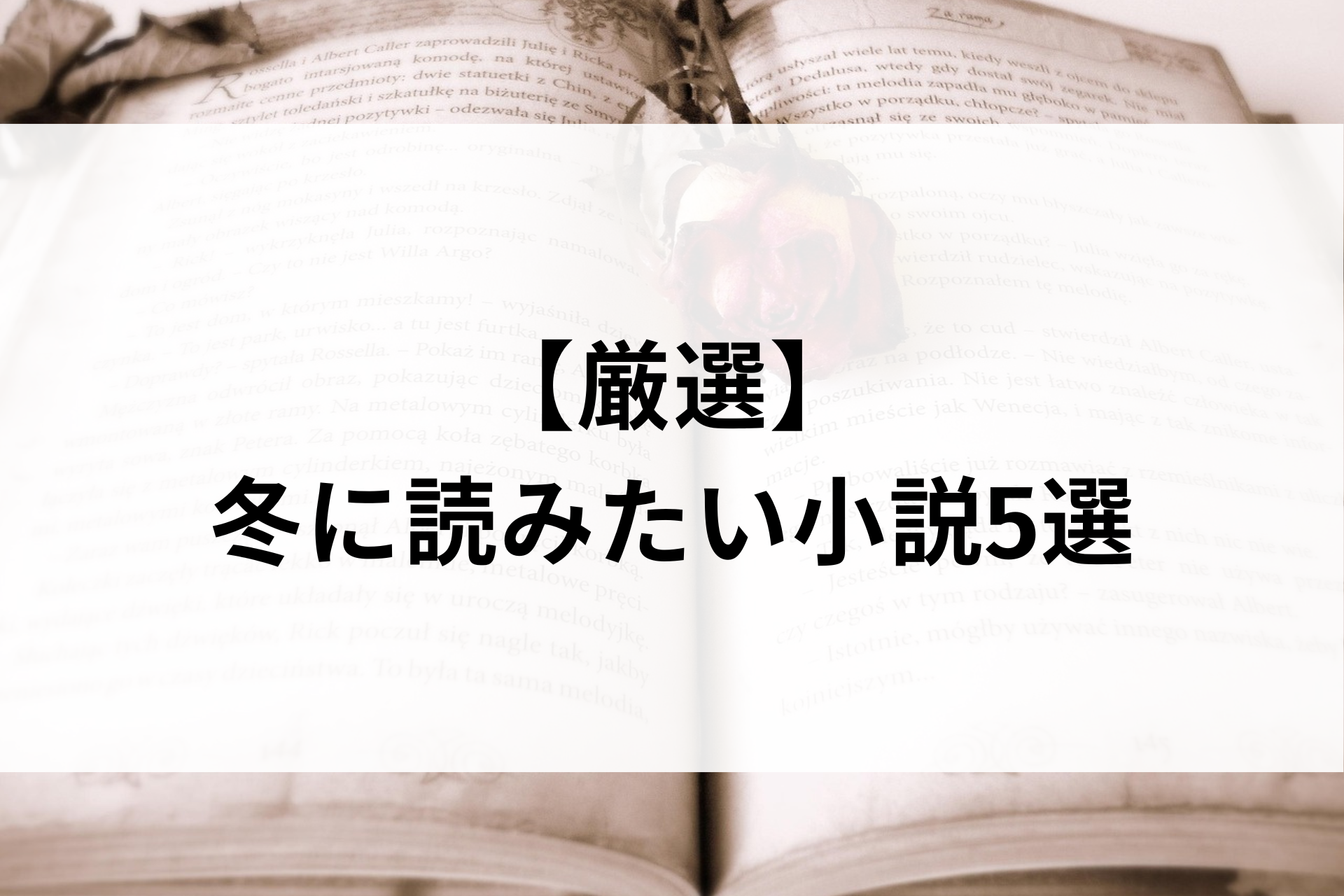 【厳選】冬に読みたい小説5選